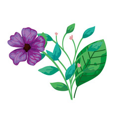 cute flower purple with branches and leafs vector illustration design