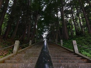 Mysterious Stairs to Shrine in forest