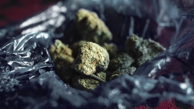 Close up hot of ripe, dried high quality cannabis marijuana flower buds with shallow depth of field