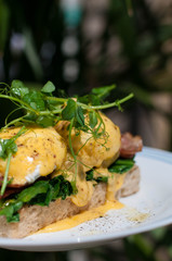 Eggs Benedict for brunch
