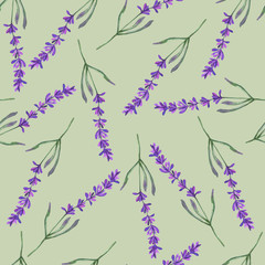 Twigs of purple lavender watercolor isolated on a green background. Botanical illustration. Seamless pattern, takna print, wrapping paper.