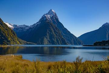 Milford Sound at Fiordland National Park in New Zealand