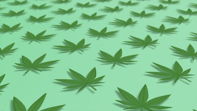 Cannabis green leaf frame bud and joint with copy space on background isolated gif animation pattern.decorative marijuana leaves motion design.