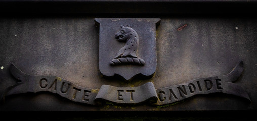 Dragon head with latin words