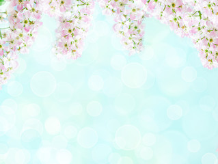 Obraz na płótnie Canvas Blossom cherry flowers. Spring flowers on blurred blue background with bokeh
