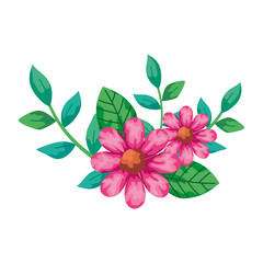 cute flowers pink with branches and leafs isolated icon vector illustration design