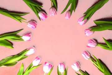 Obraz na płótnie Canvas pink tulip flowers frame, copy space