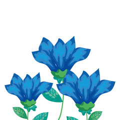 cute flowers blue with branches and leafs isolated icon vector illustration design
