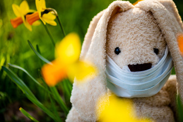Osterhase Mundschutz