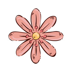cute flower pink color isolated icon vector illustration design