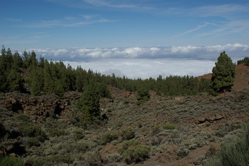 wolkenmeer canadas teneriffa