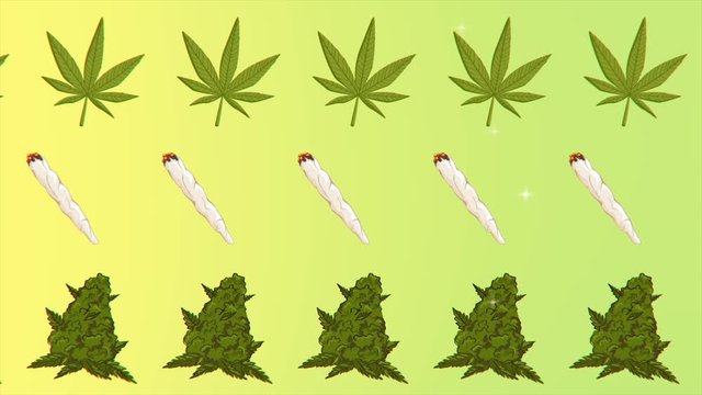 Cannabis green leaf frame bud and joint with copy space on background isolated gif animation pattern.decorative marijuana leaves motion design.