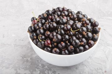Fresh black currant in white bowl on gray concrete background. side view.