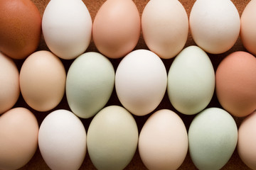 Rows of pastel colored eggs close-up, top view © isavira