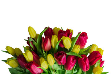 bunch of bloomig yellow and red tulips isolated on white backgeound. Clipping path.