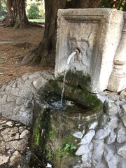 fountain in park