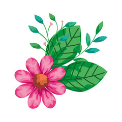 Fototapeta na wymiar cute flower pink with branches and leafs isolated icon vector illustration design