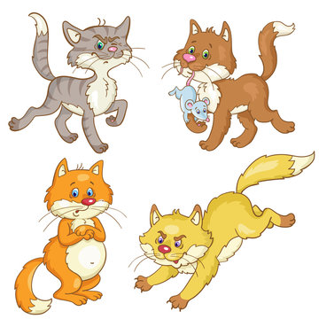 Set of four cats with different characters in cartoon style. Isolated on white background. Vector illustration.