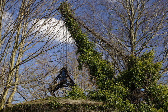 Alter Kran der komplett zugewachsen ist