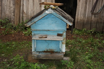 beehives in the garden