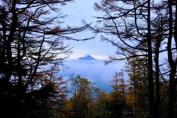 富士山　雲海