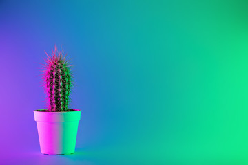 Creative neon background with cactus. Multicolor abstract backdrop with vibrant gradients. Exotic plants with green, purple and blue vivid colors. Thorns with beautiful illumination