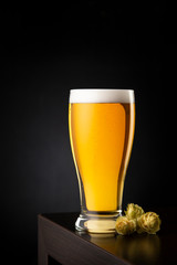Cold light beer and hop