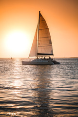 Catamaran 