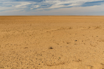 sand desert. The view of the desert of Kazakhstan.