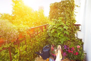 Home office in summer: woman's feet in flip-flops on a footrest on a city balcony with lots of...