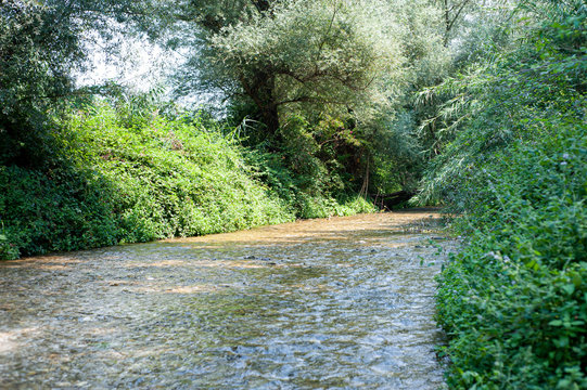 Fiume Farfa