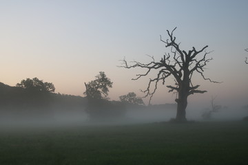 Obraz premium Przed świtem