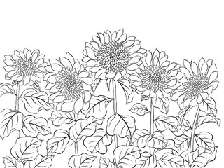 Digital illustration of sunflowers, black and white.
