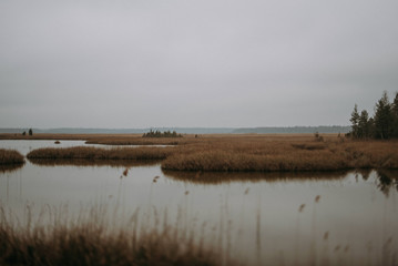 cloudy lake view with orange grass in autumn