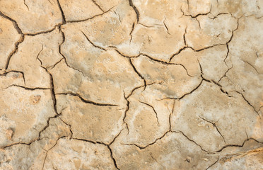 Cracked soil
