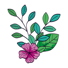 cute flower purple color with branches and leafs vector illustration design