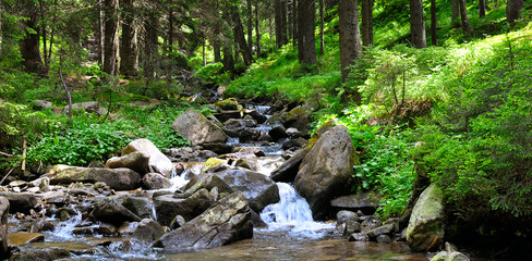 Landscape with mountains, forest and a river in front. Wide photo.