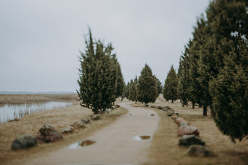 national park rainy cloudy weather