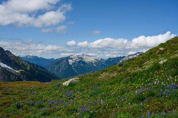Fototapeta na wymiar Puffy Clouds Above North Cascades Mountains