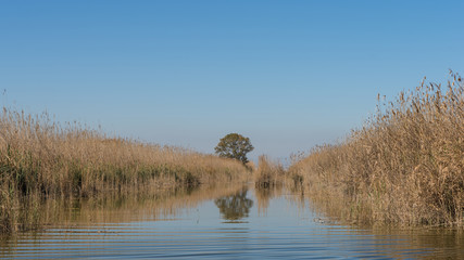 The Albufera nature reserve, El Palmar, Valencia, Comunidad Valenciana, Spain