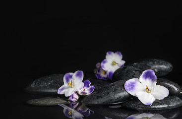 Stones and flowers in water on black background, space for text. Zen lifestyle