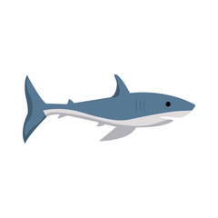 Fototapeta premium Vector image of a shark on a white background