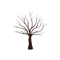 Tree silhouettes. Vector illustration. - Vector