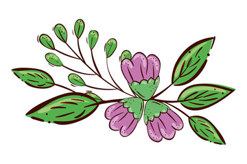 cute flowers purple with branches and leafs isolated icon vector illustration design