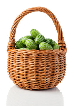 Melothria scabra, cucumber, Mexican sour gherkin isolated on white background