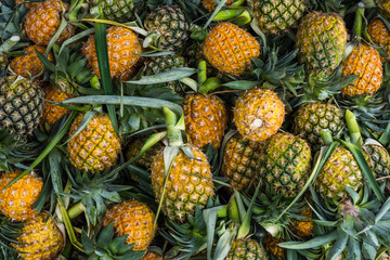 Fresh pineapple for sale is background