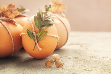 Natural eggs with bunch plant and dried flowers on netrual background in sunny day.