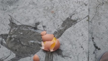 Egg falling on the ground - Powered by Adobe