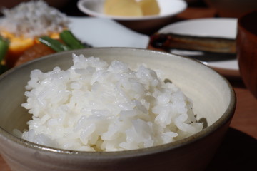 炊き立てご飯