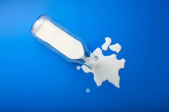 Bad Milk Lactose Intolerance Allergy. Milk Bottle Splatter. Avoid Dangerous Dairy